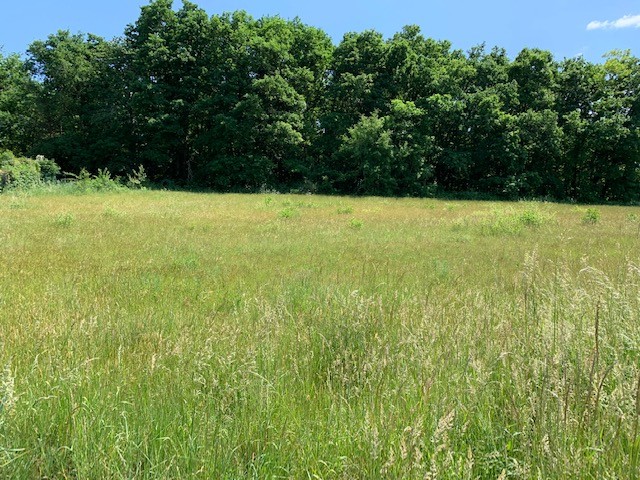 Vente Terrain à Droue-sur-Drouette 0 pièce