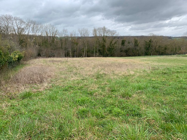 Vente Terrain à Maintenon 0 pièce