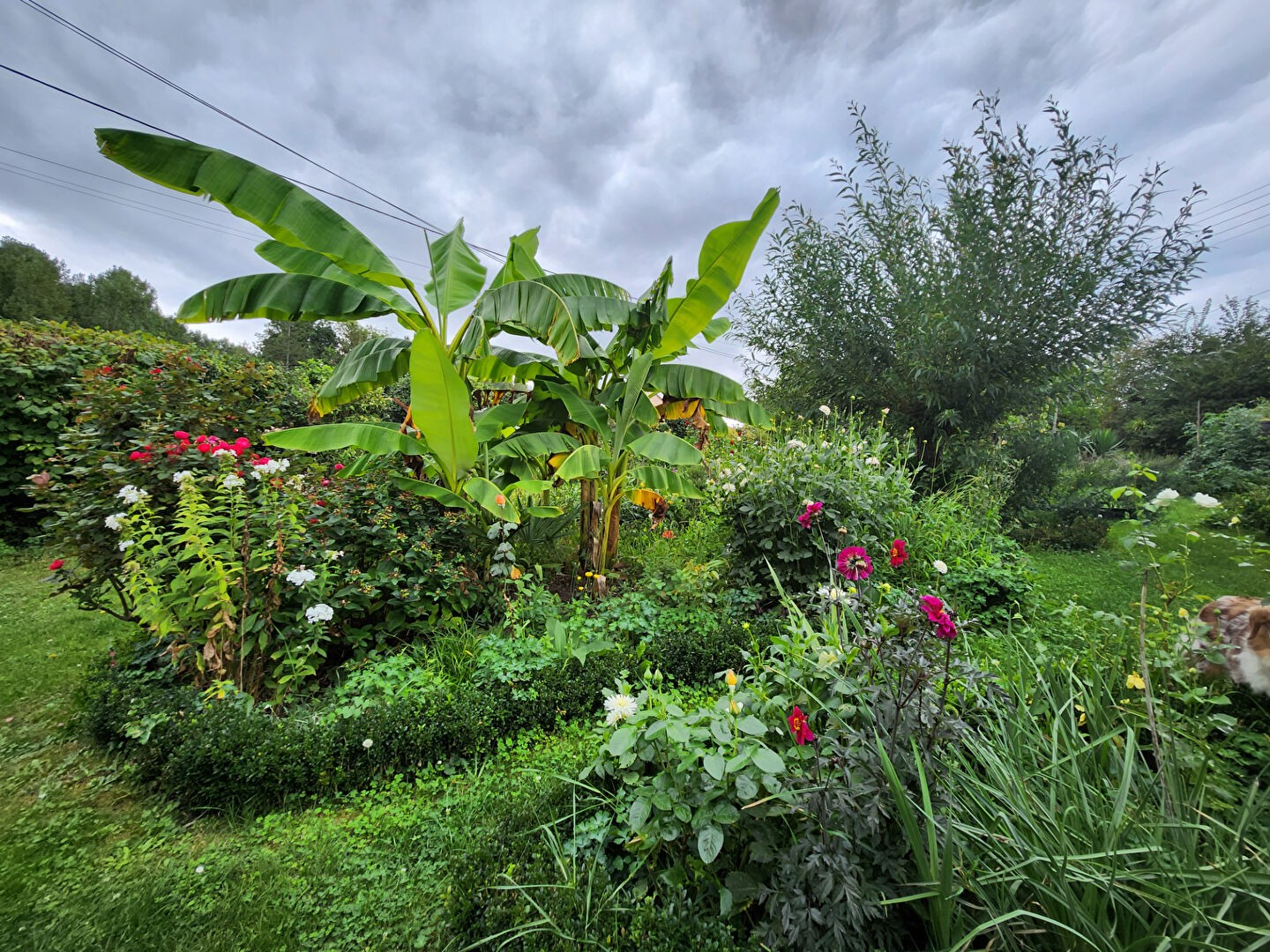 Vente Maison à Maintenon 6 pièces