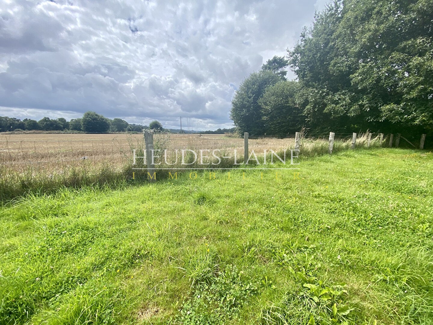 Vente Terrain à Saint-Brice-de-Landelles 0 pièce