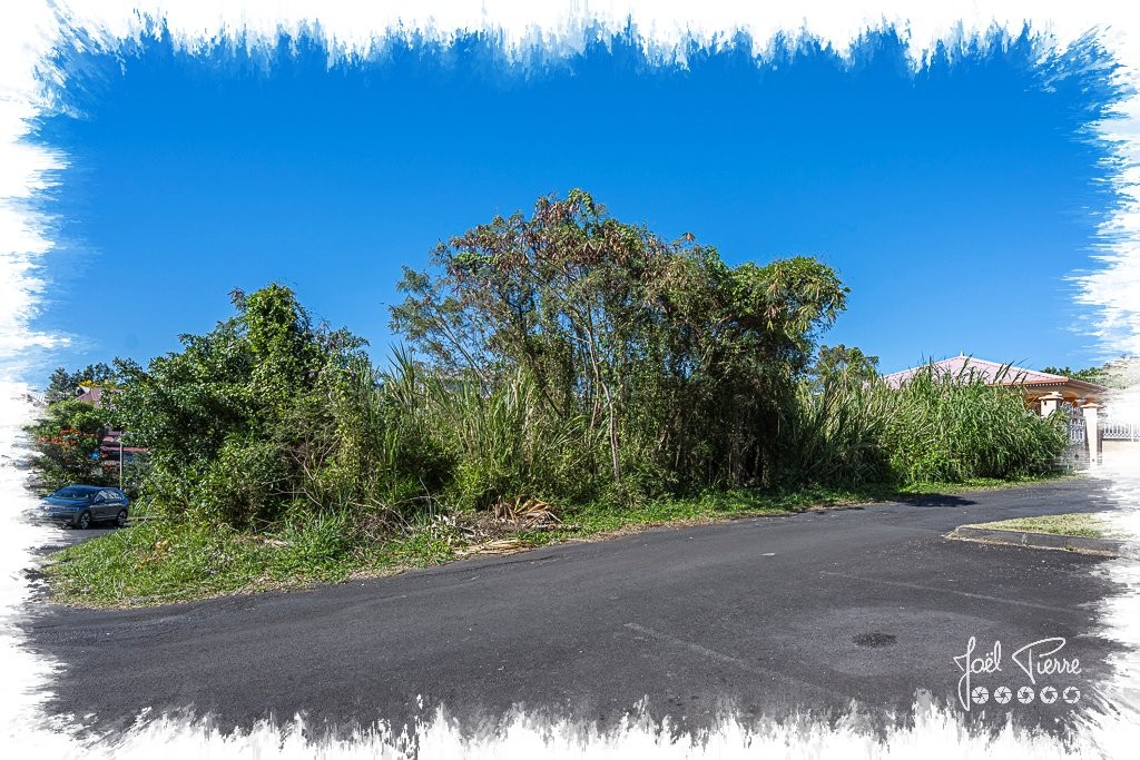 Vente Terrain à Saint-André 0 pièce