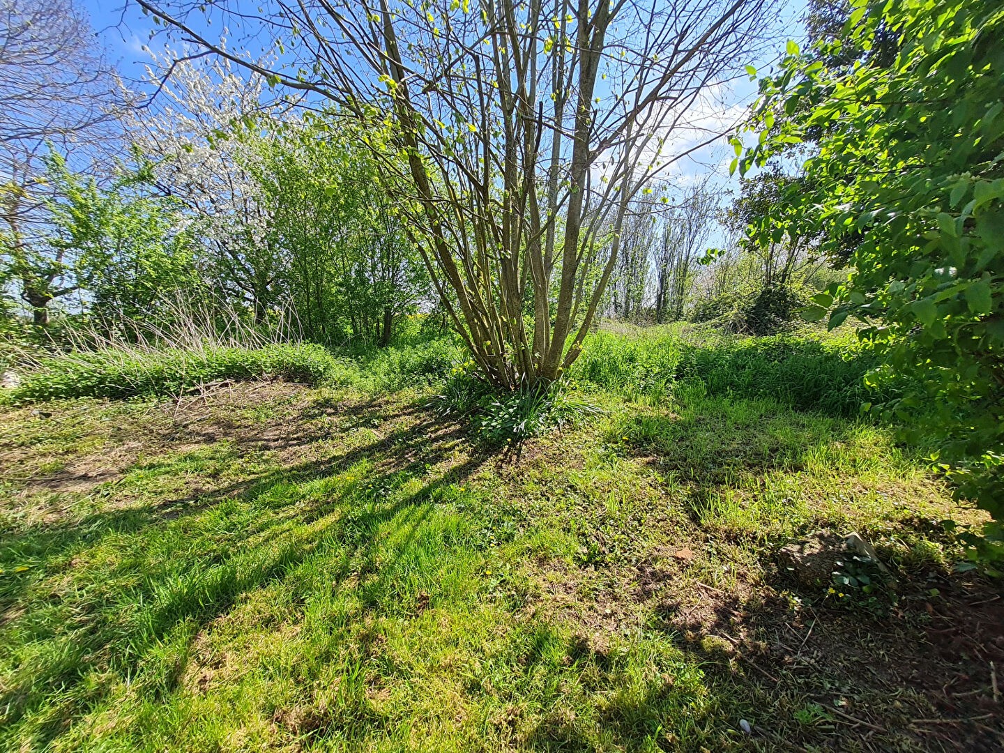 Vente Maison à Illiers-Combray 3 pièces