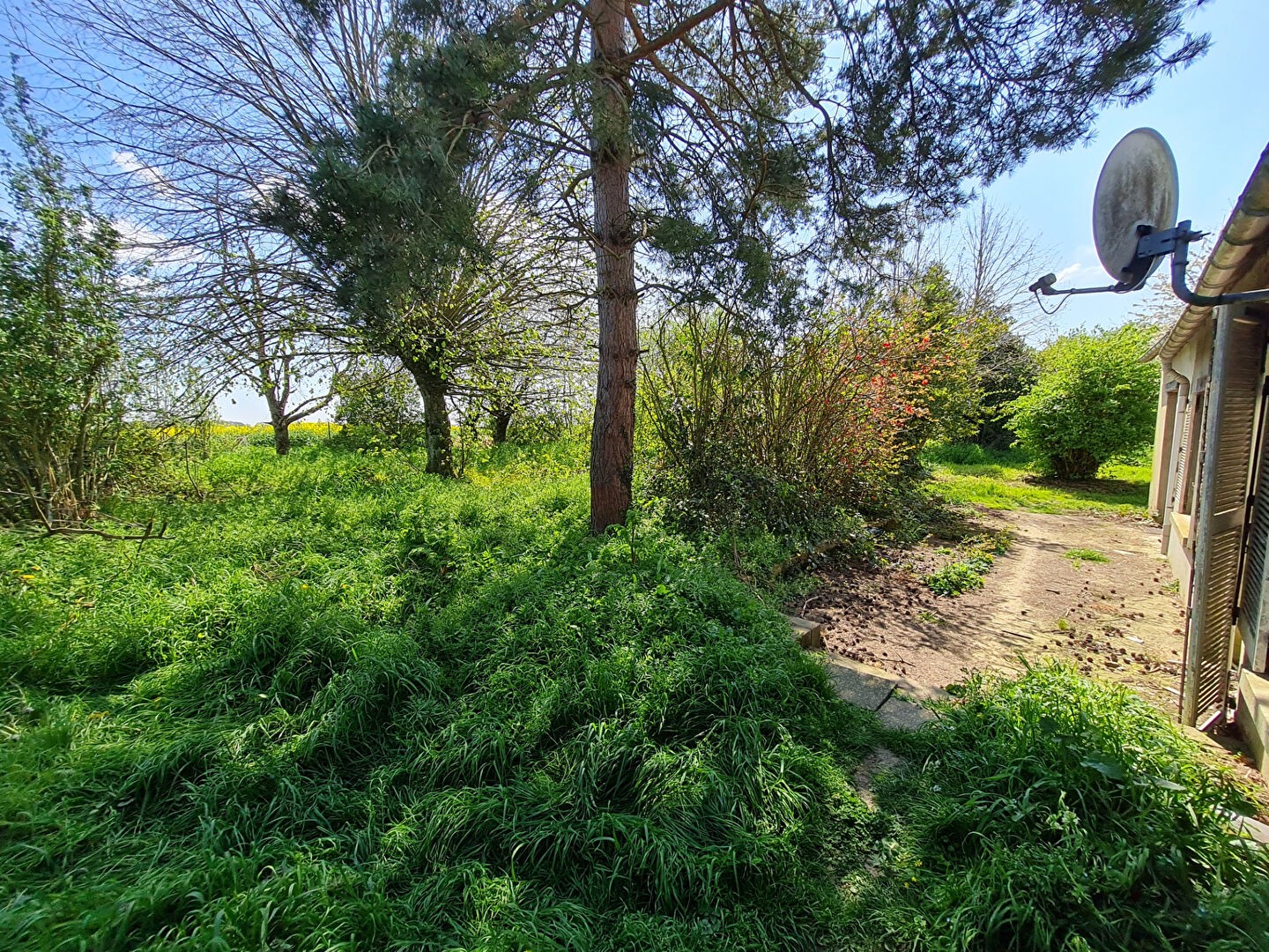 Vente Maison à Illiers-Combray 3 pièces