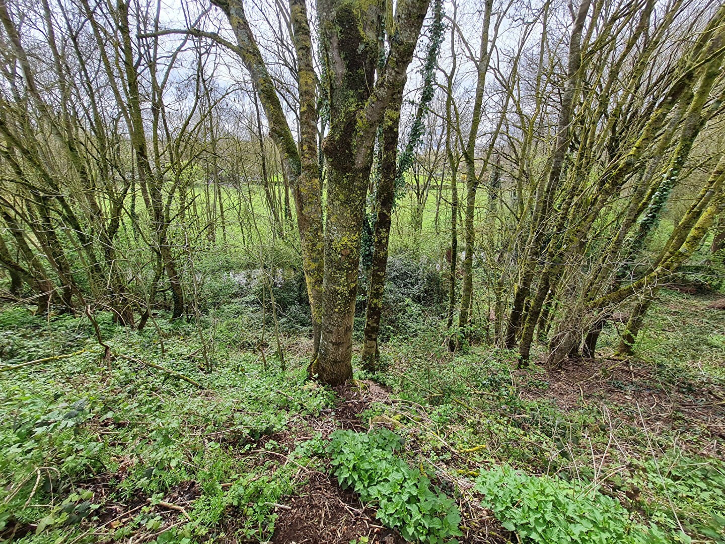 Vente Terrain à Illiers-Combray 0 pièce