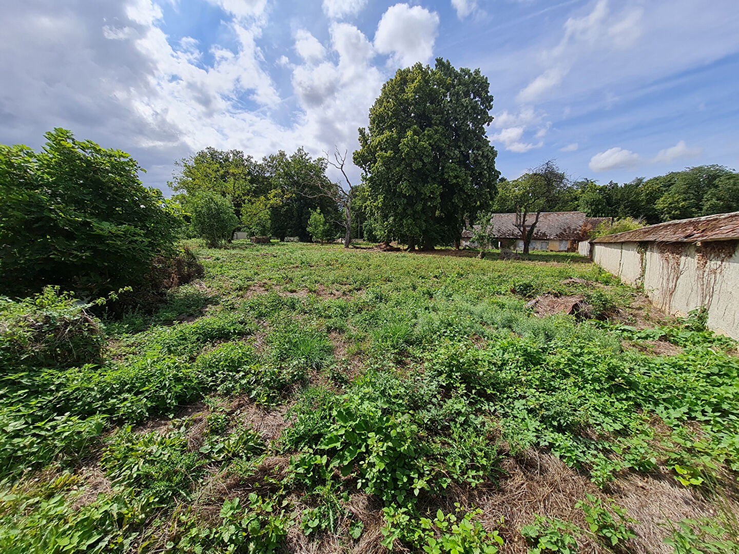 Vente Maison à Illiers-Combray 4 pièces