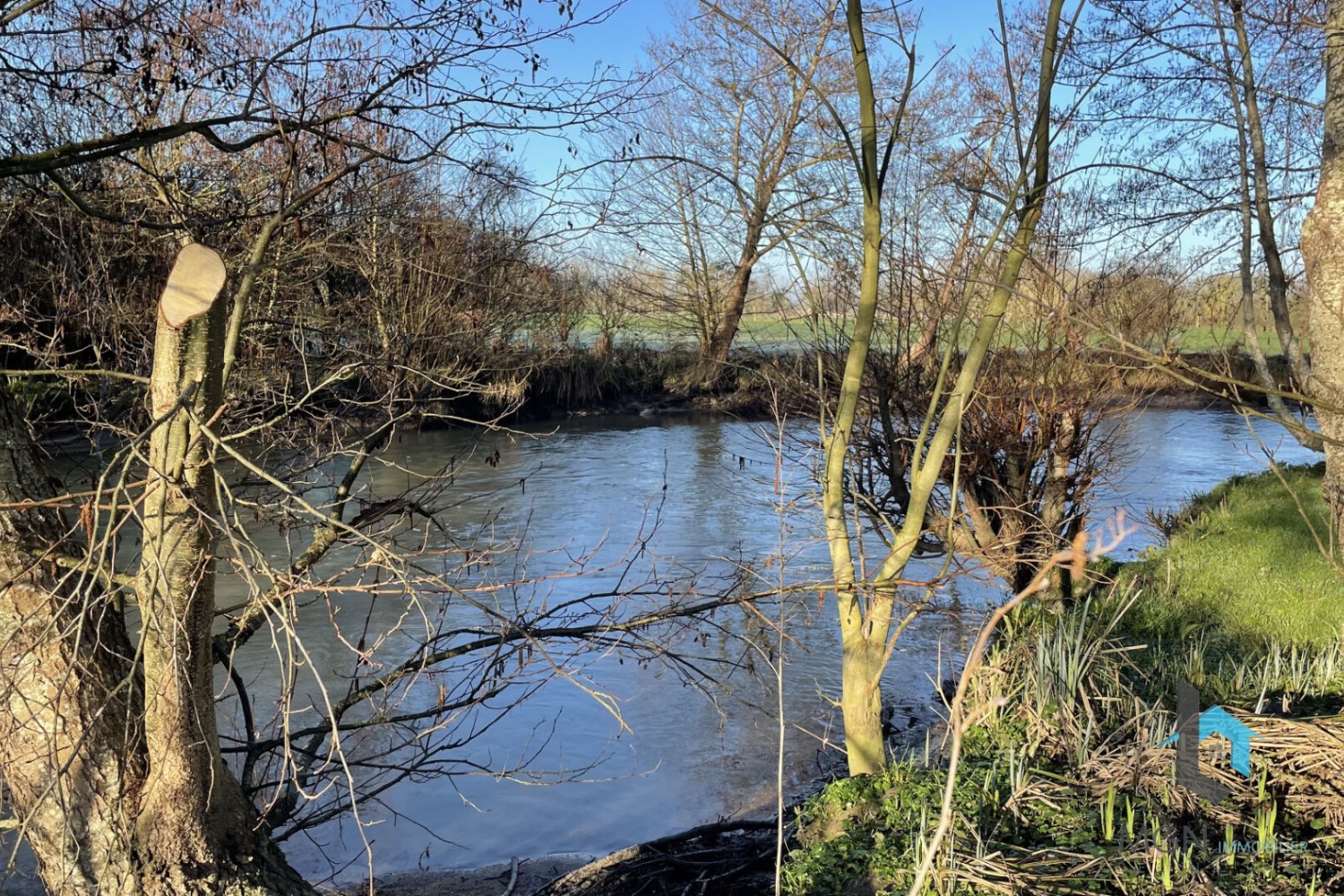 Vente Terrain à Alluyes 0 pièce