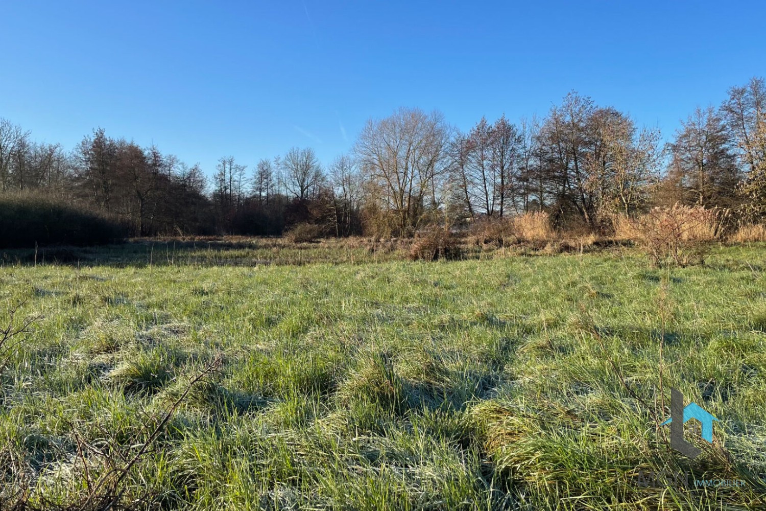 Vente Terrain à Alluyes 0 pièce