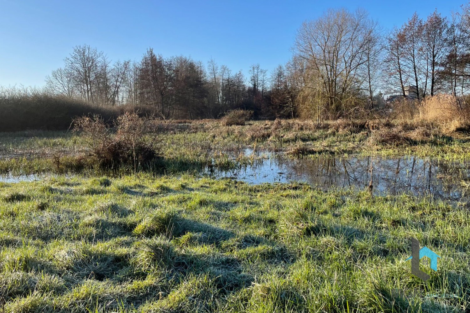 Vente Terrain à Alluyes 0 pièce