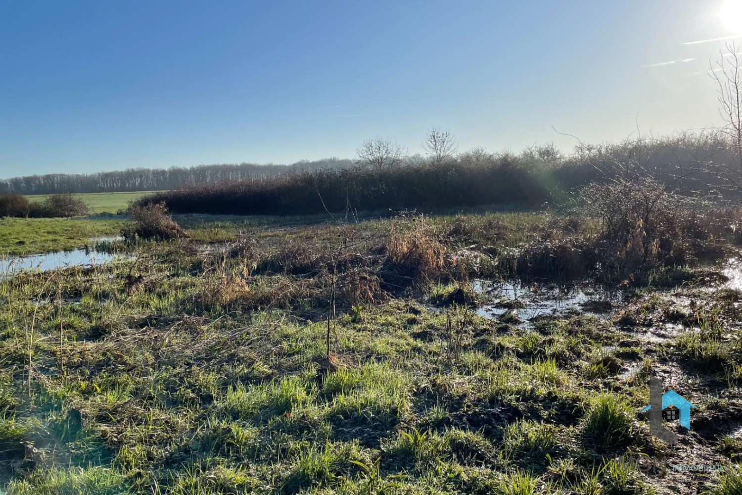 Vente Terrain à Alluyes 0 pièce