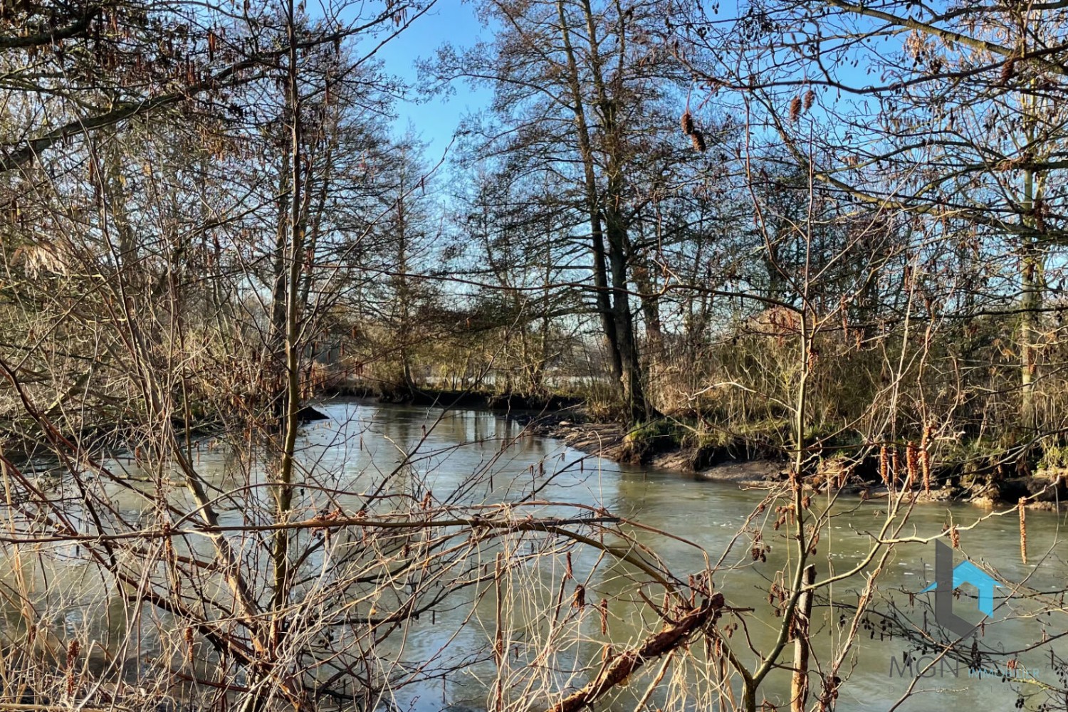 Vente Terrain à Alluyes 0 pièce