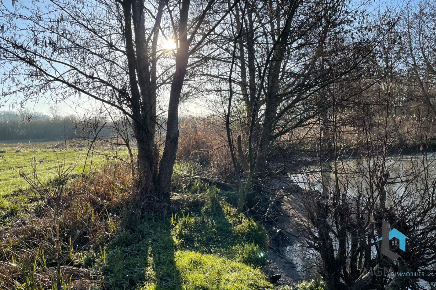 Vente Terrain à Alluyes 0 pièce