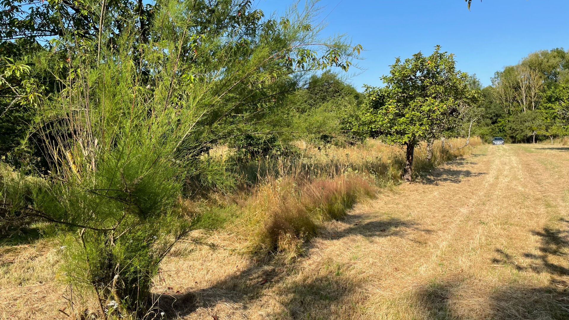 Vente Terrain à Bonneval 1 pièce