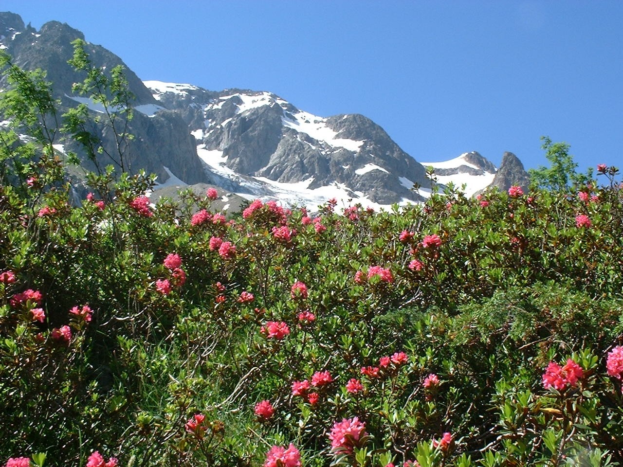 Vente Garage / Parking à Chamonix-Mont-Blanc 0 pièce