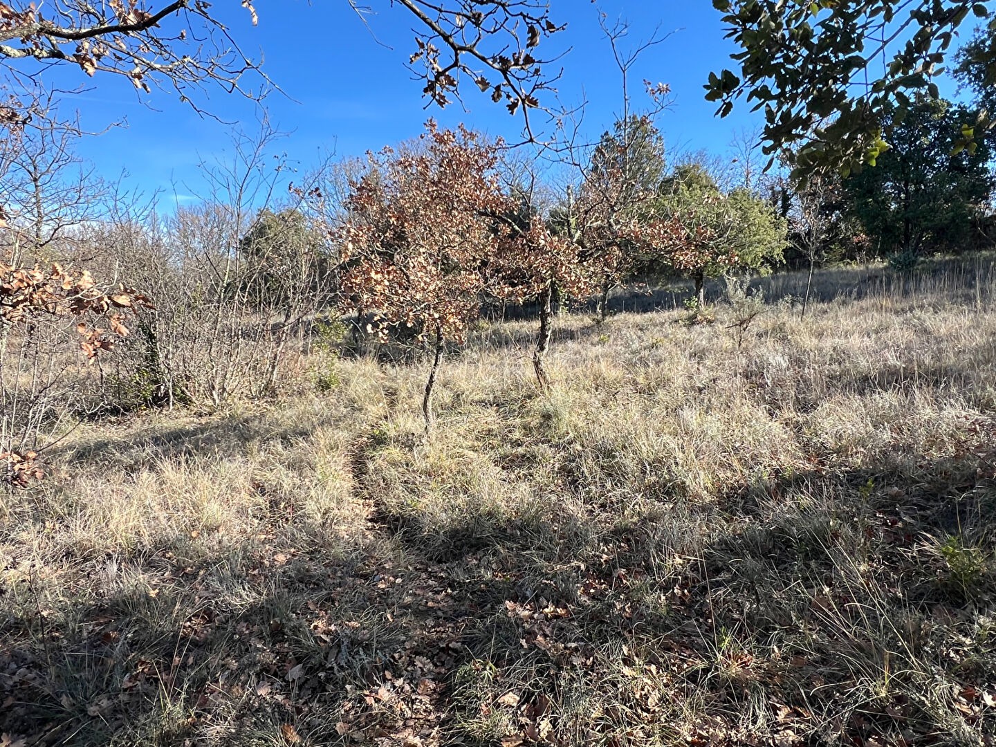 Vente Terrain à Barjac 0 pièce