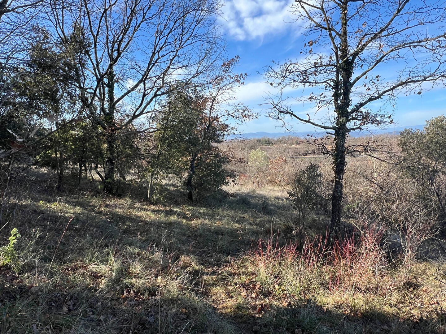 Vente Terrain à Barjac 0 pièce