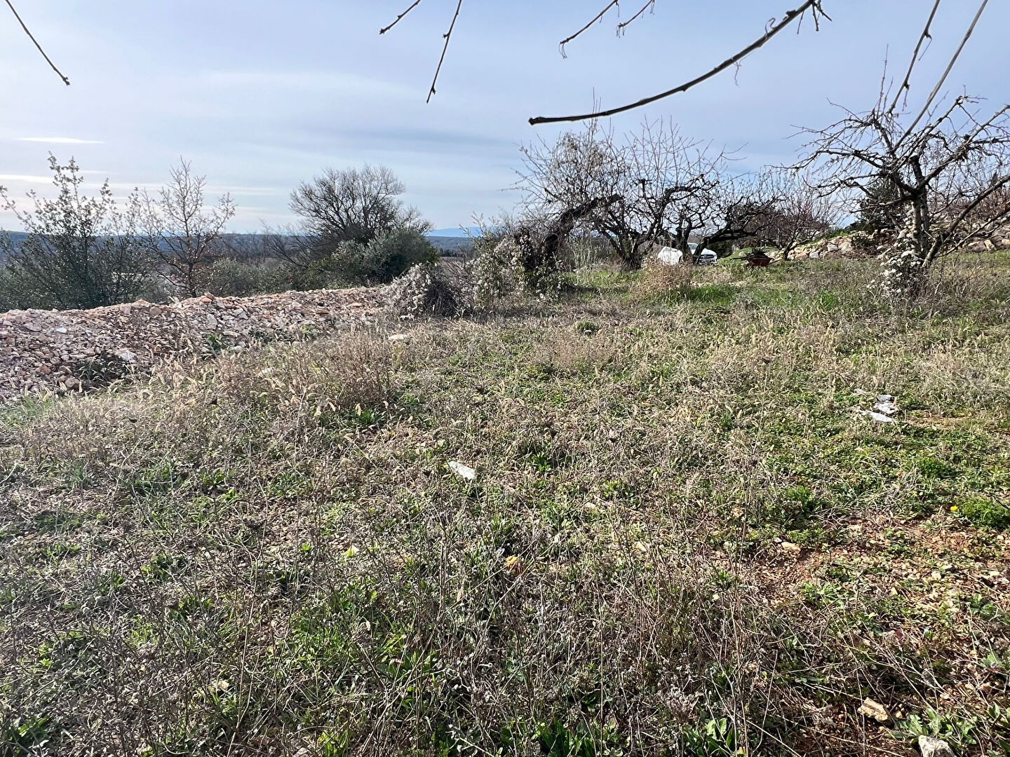 Vente Terrain à Barjac 0 pièce