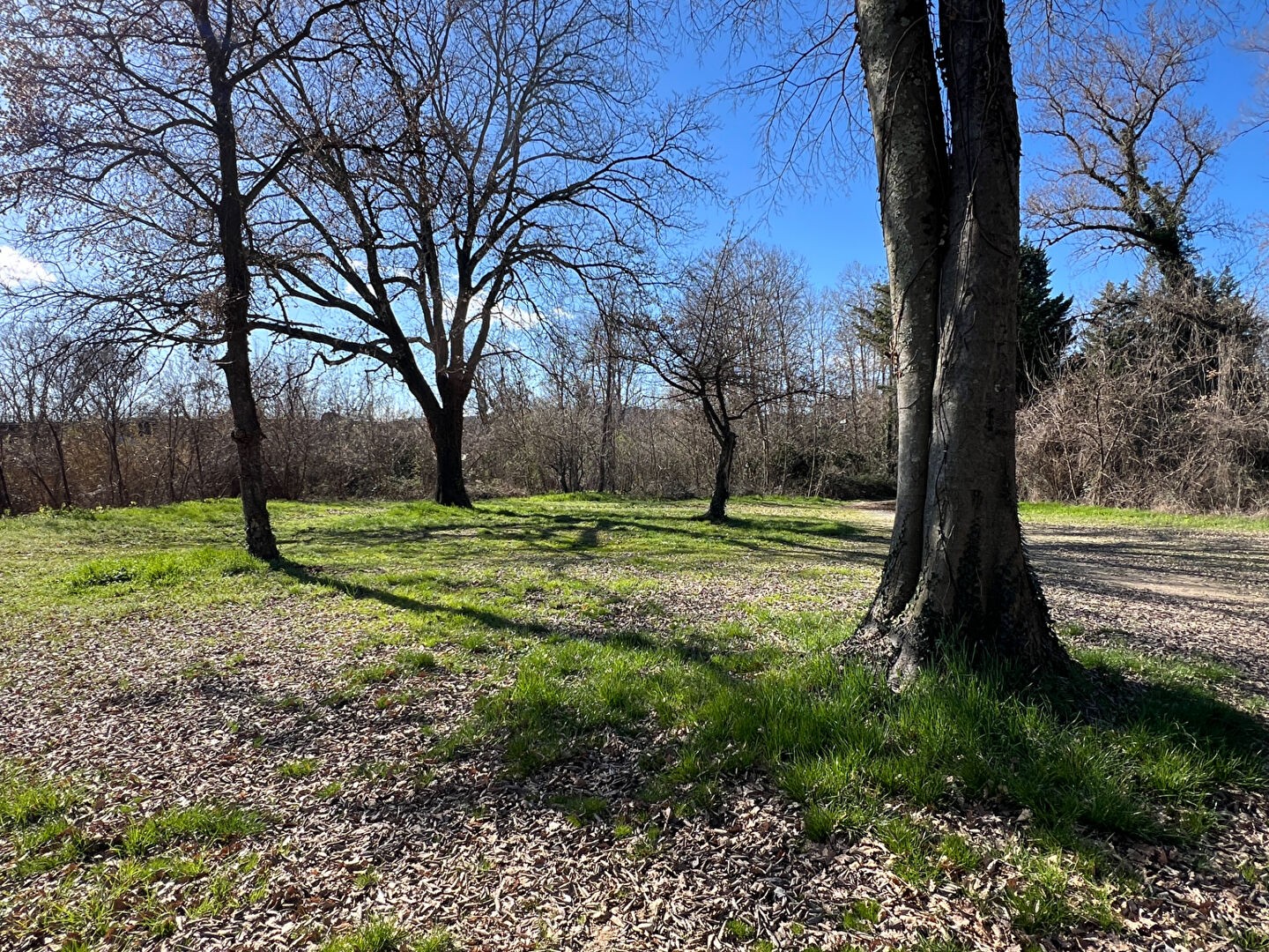 Vente Terrain à Saint-Ambroix 0 pièce