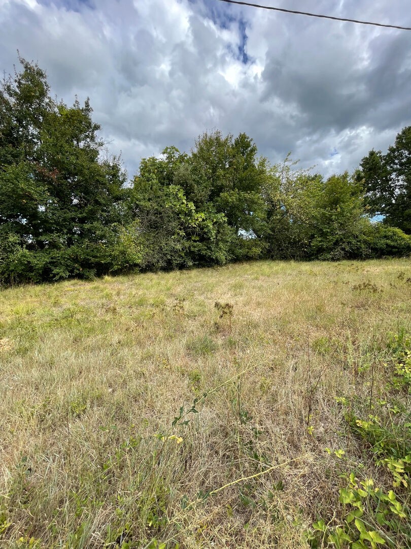 Vente Terrain à Barjac 0 pièce