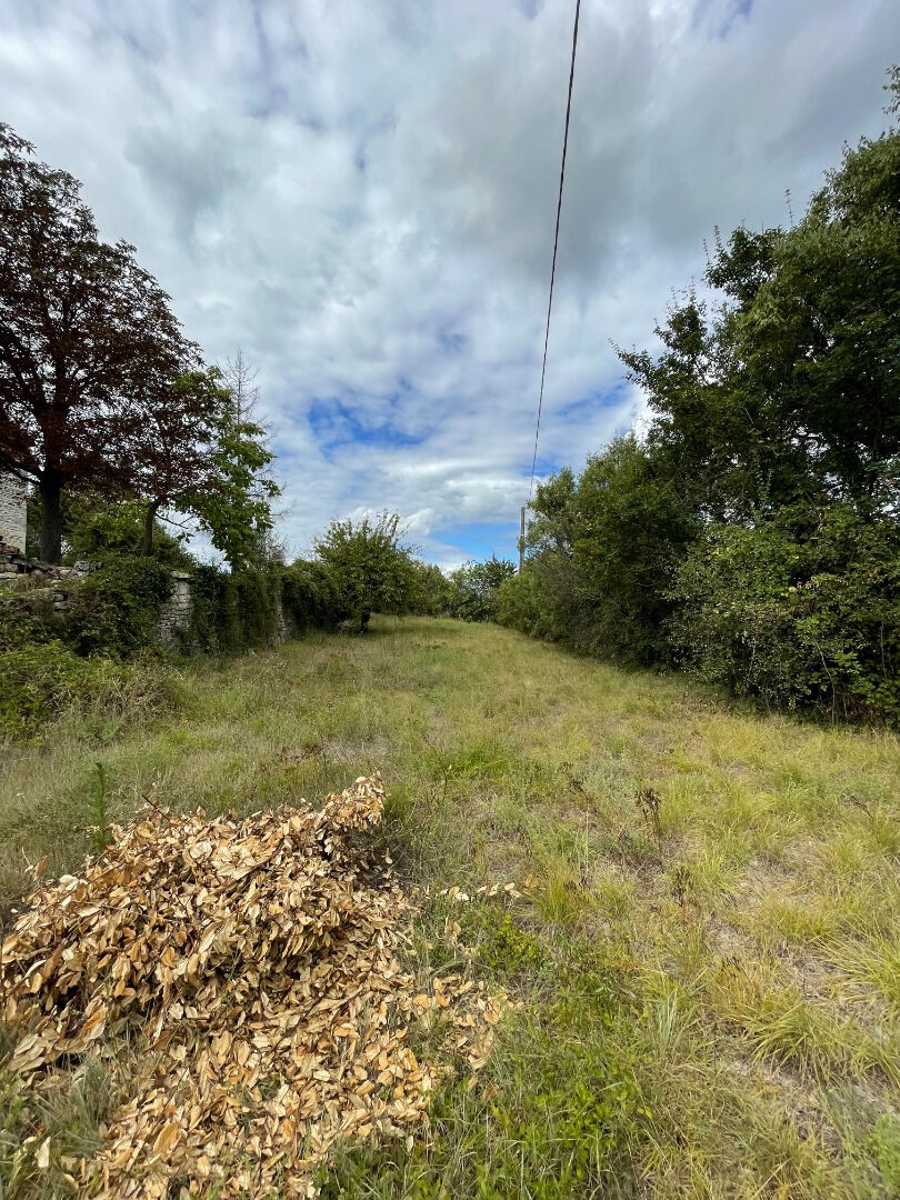 Vente Terrain à Barjac 0 pièce