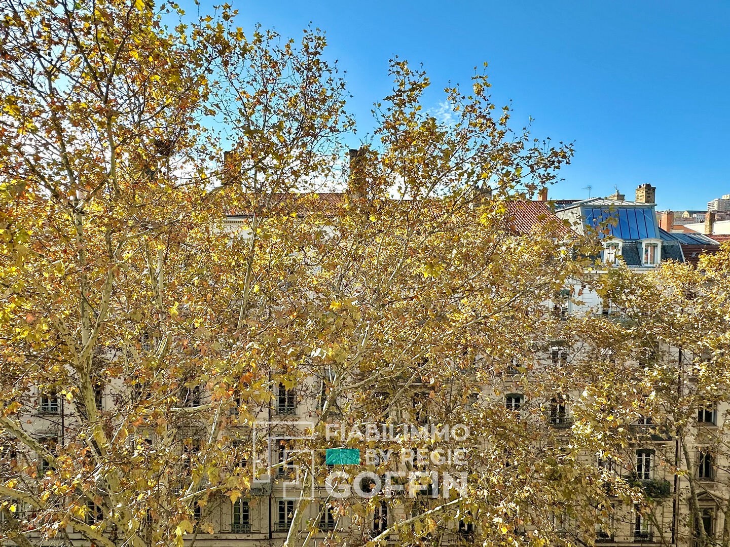 Vente Appartement à Lyon 6e arrondissement 3 pièces