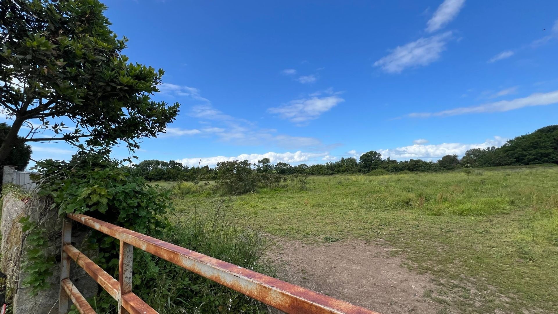 Vente Maison à Saint-Laurent-de-la-Prée 9 pièces