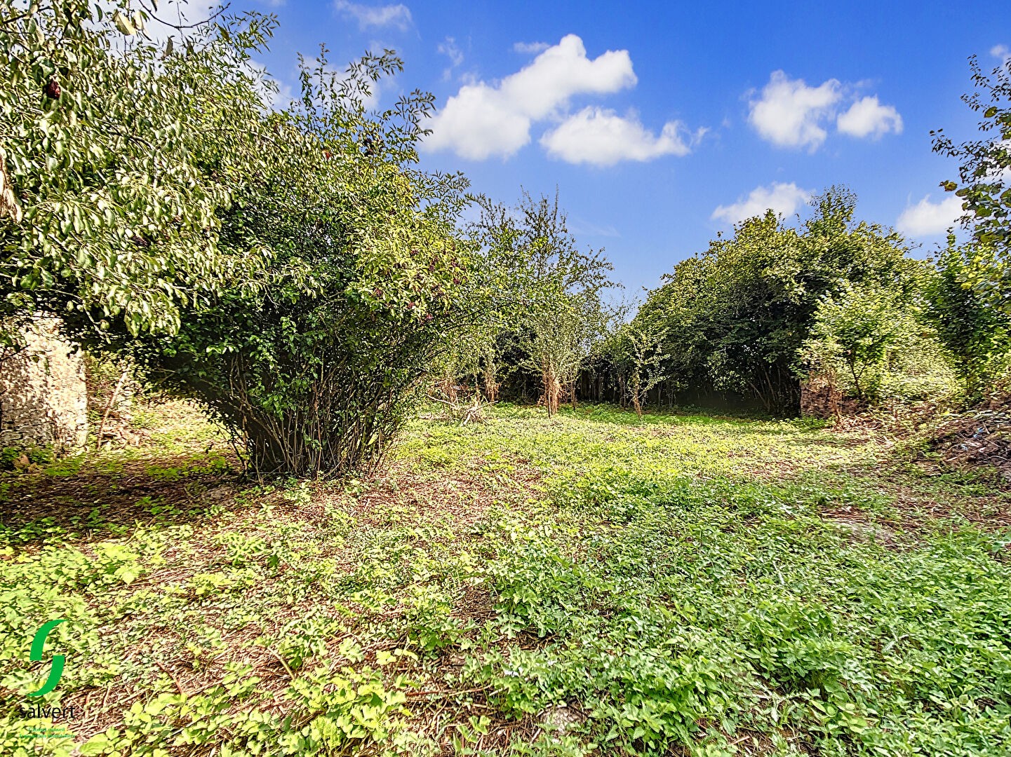 Vente Maison à Saint-Pierre-le-Bost 3 pièces