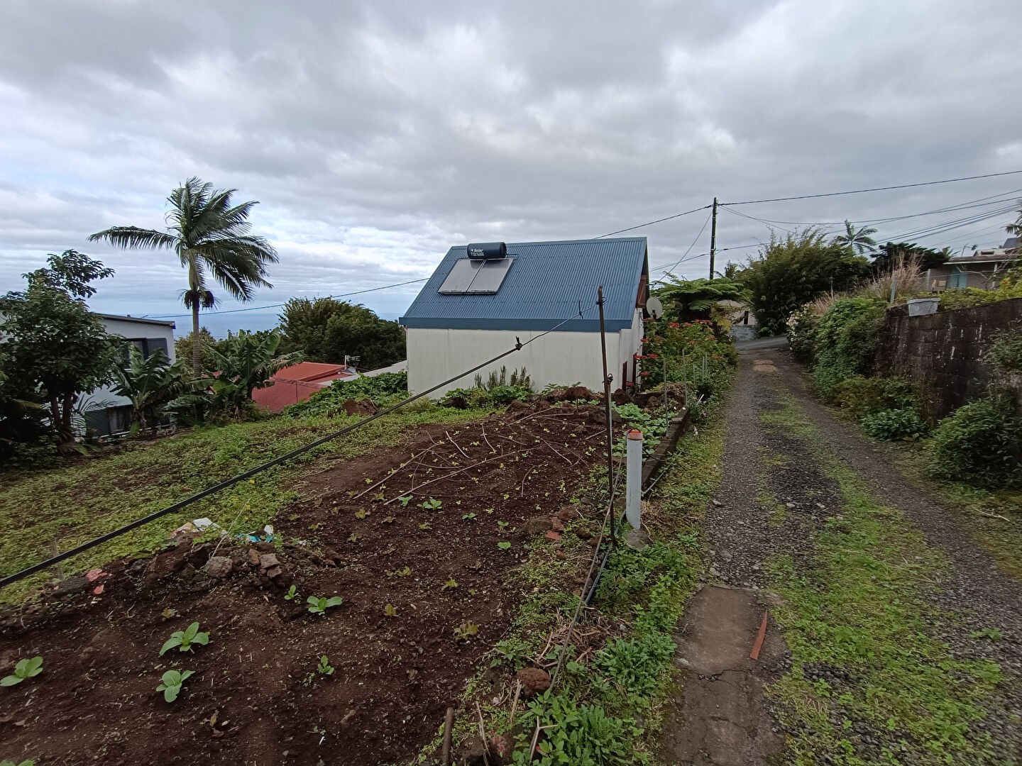 Vente Terrain à Saint-Joseph 0 pièce