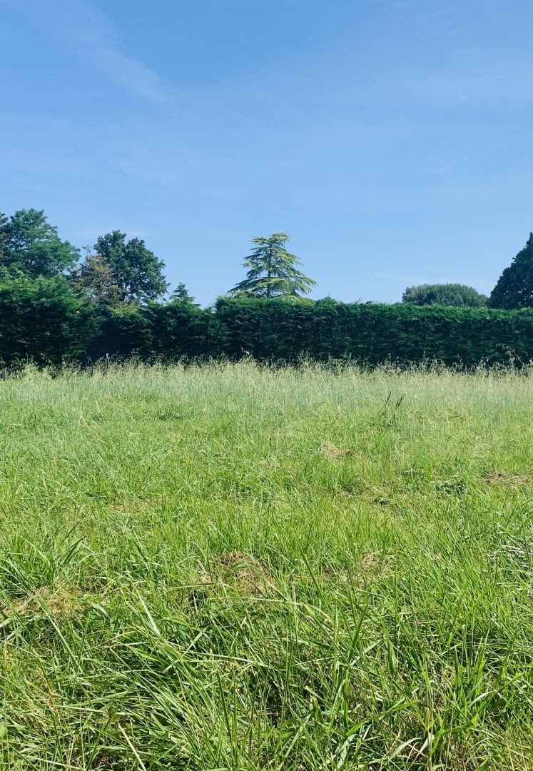 Vente Terrain à Commequiers 0 pièce