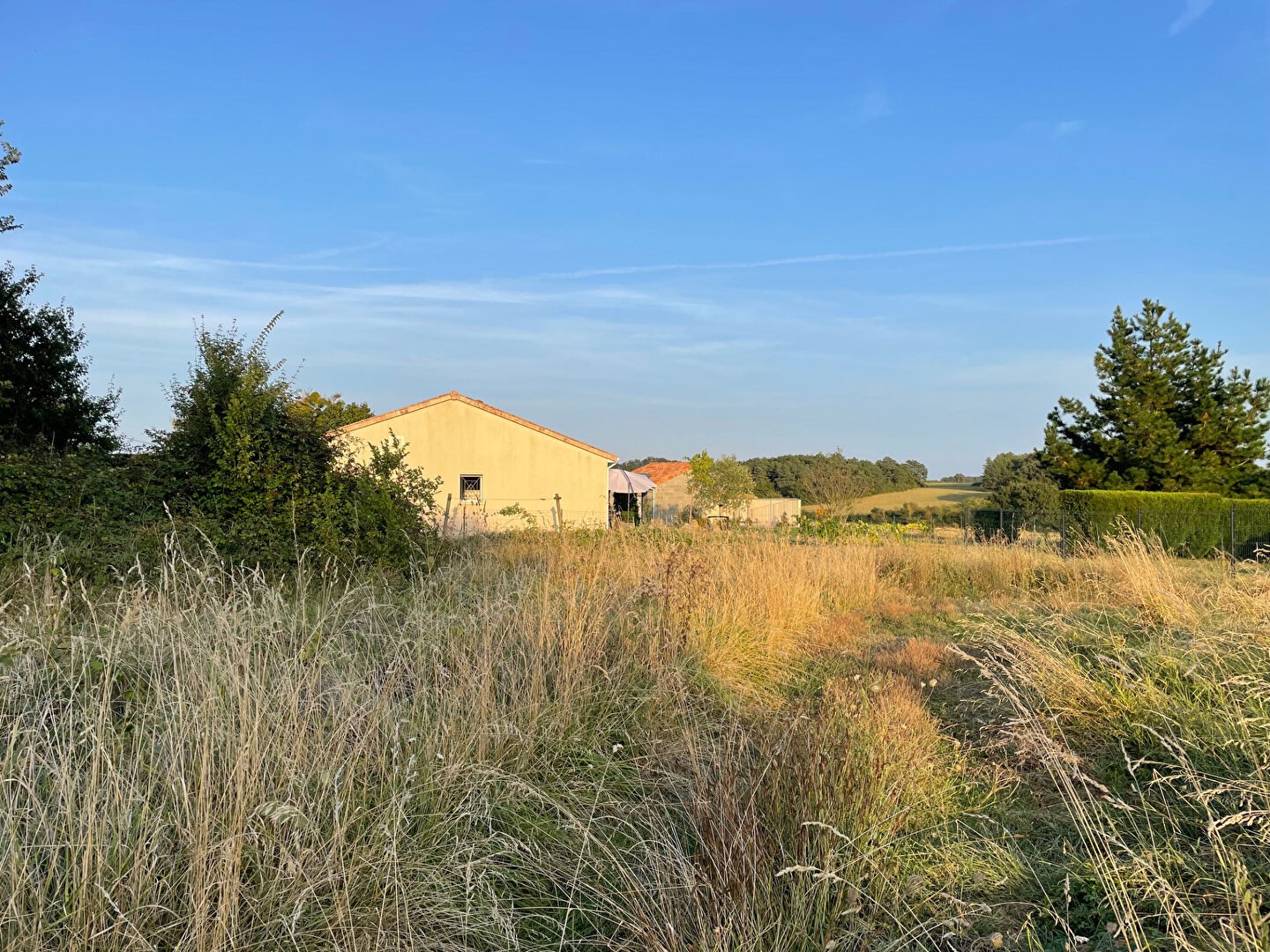 Vente Terrain à Chauvigny 0 pièce