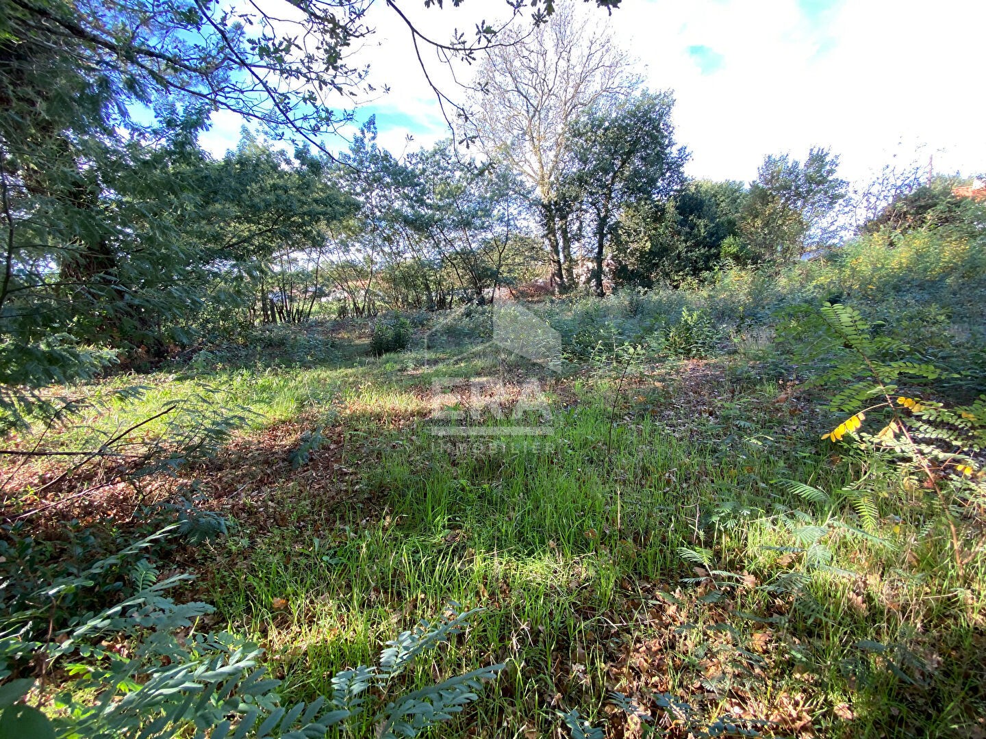 Vente Terrain à le Teich 0 pièce