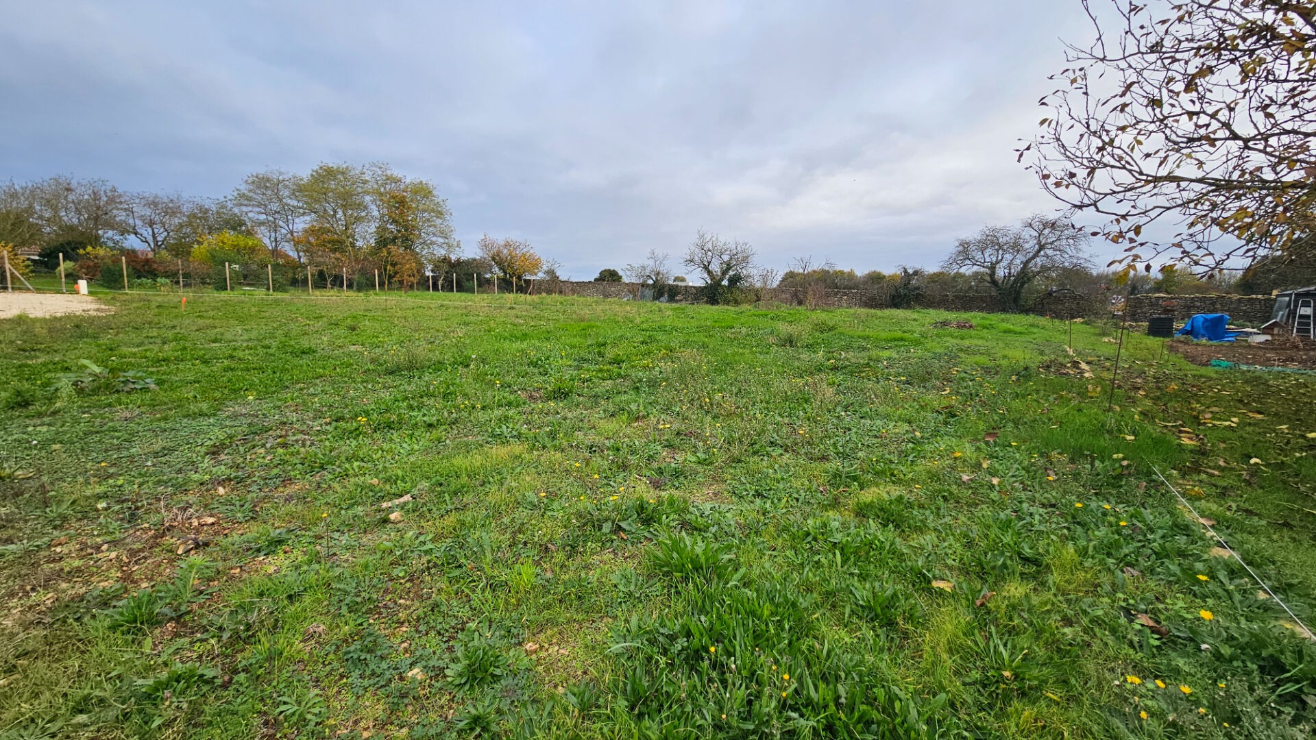 Vente Terrain à Niort 0 pièce