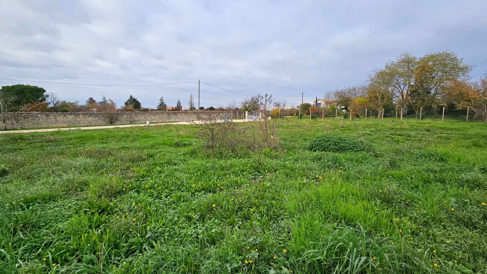 Vente Terrain à Niort 0 pièce