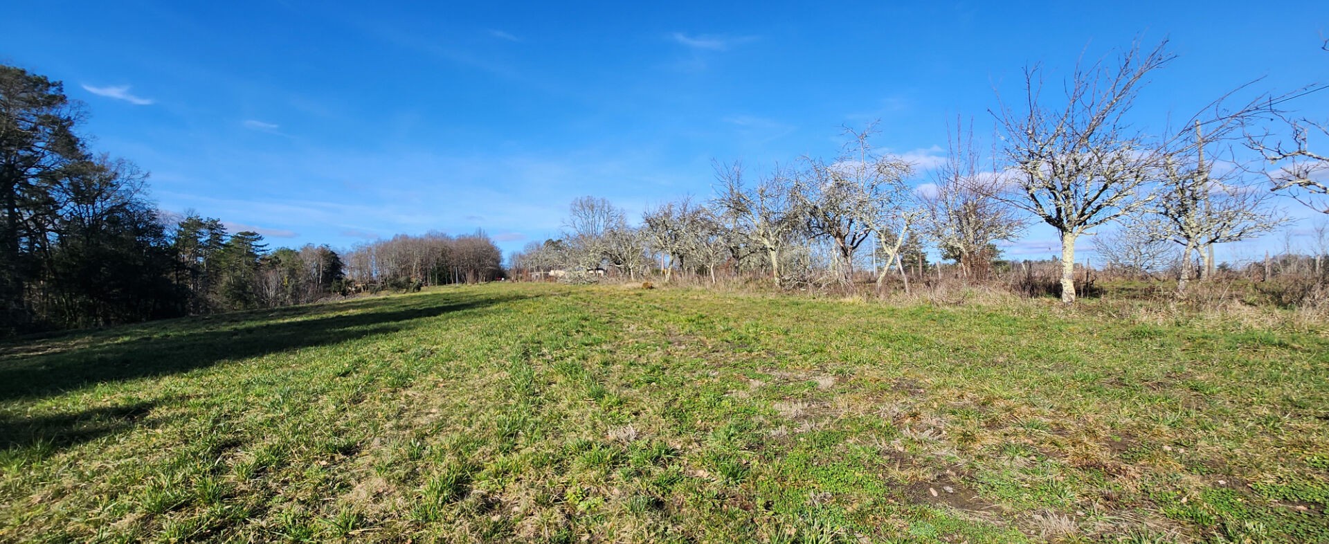 Vente Terrain à Sarlat-la-Canéda 0 pièce