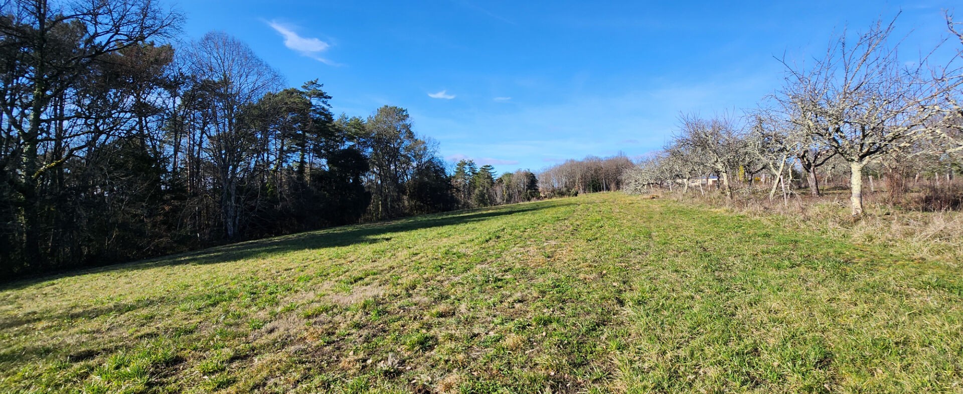 Vente Terrain à Sarlat-la-Canéda 0 pièce