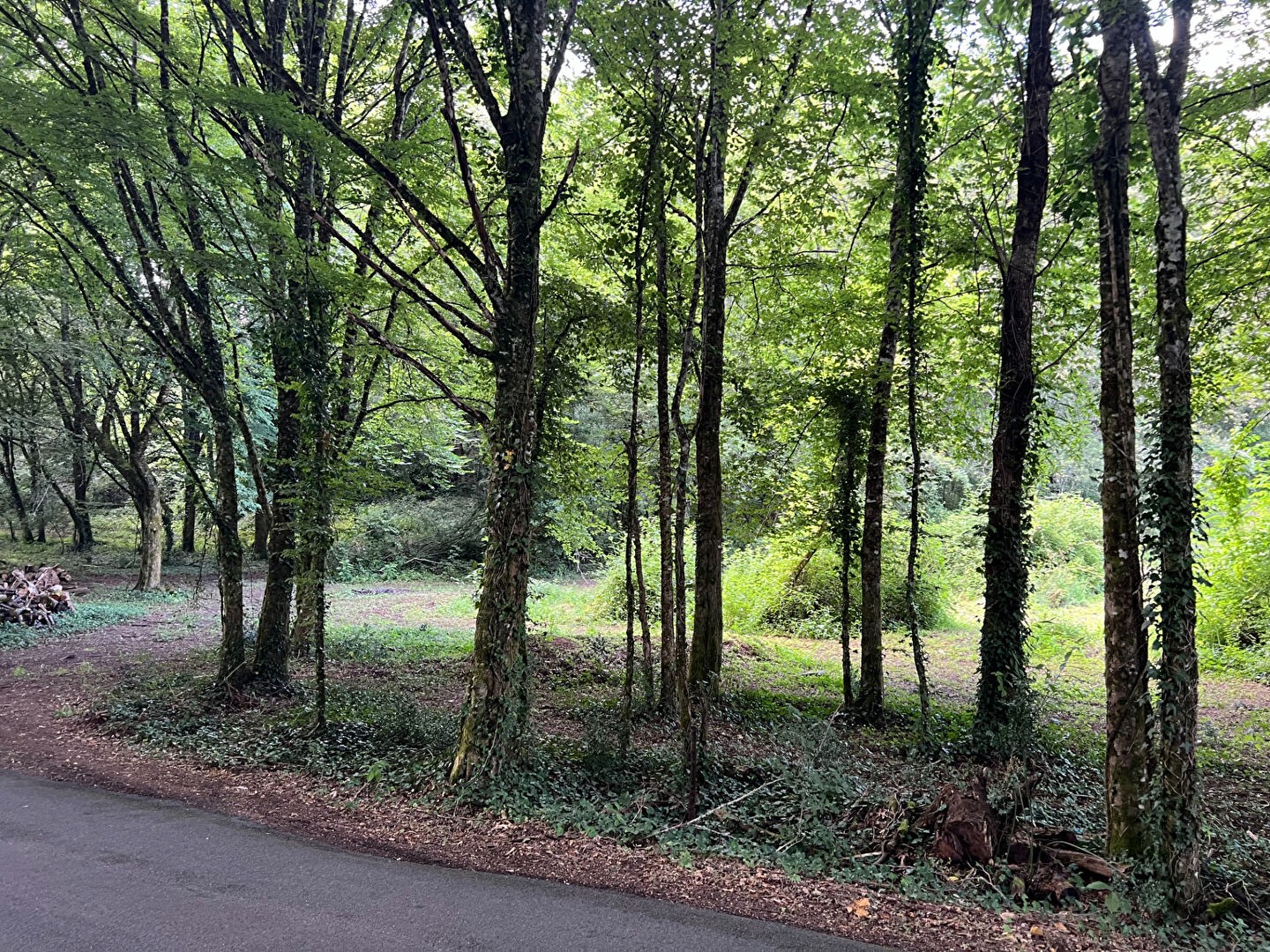 Vente Terrain à Sarlat-la-Canéda 0 pièce