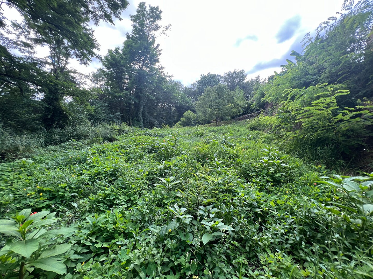 Vente Terrain à Sarlat-la-Canéda 0 pièce