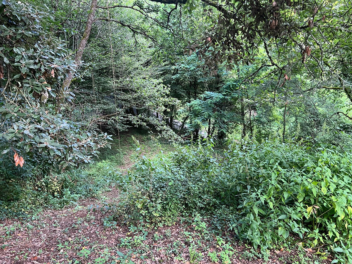 Vente Terrain à Sarlat-la-Canéda 0 pièce