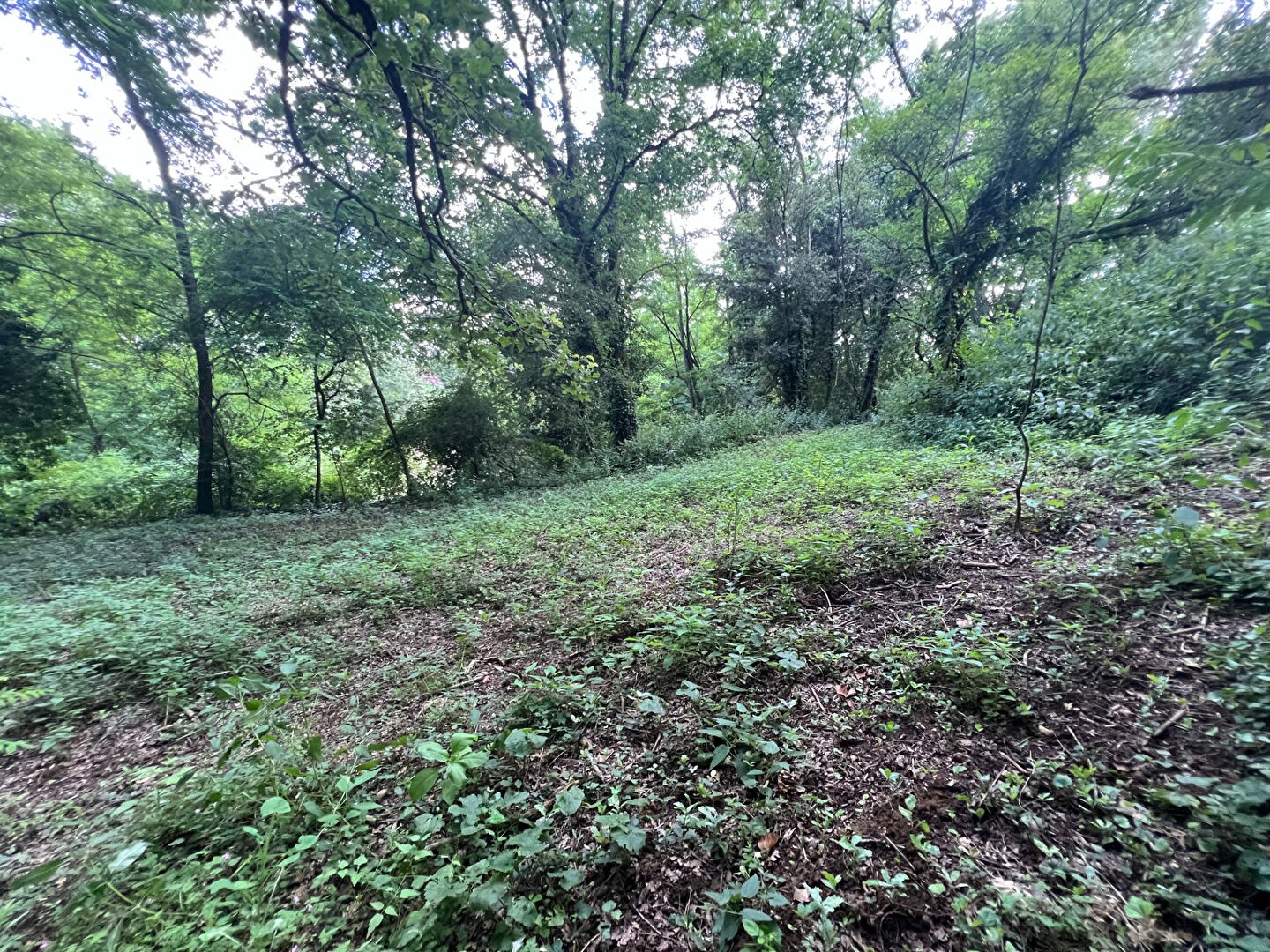 Vente Terrain à Sarlat-la-Canéda 0 pièce