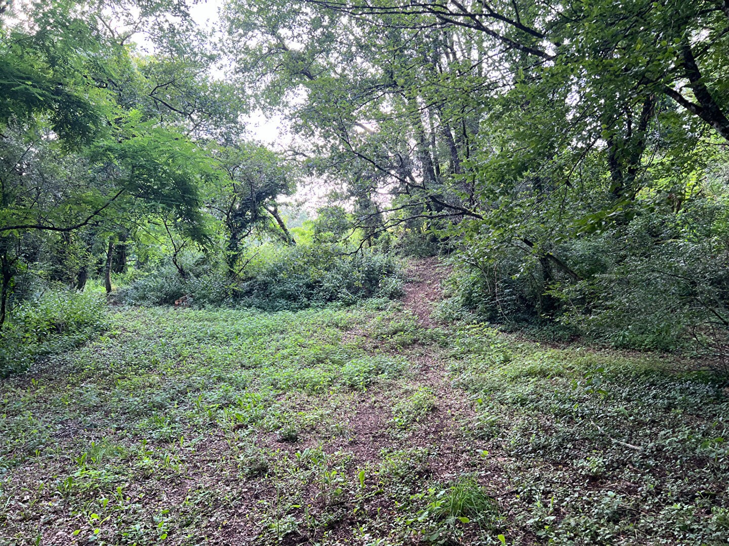 Vente Terrain à Sarlat-la-Canéda 0 pièce