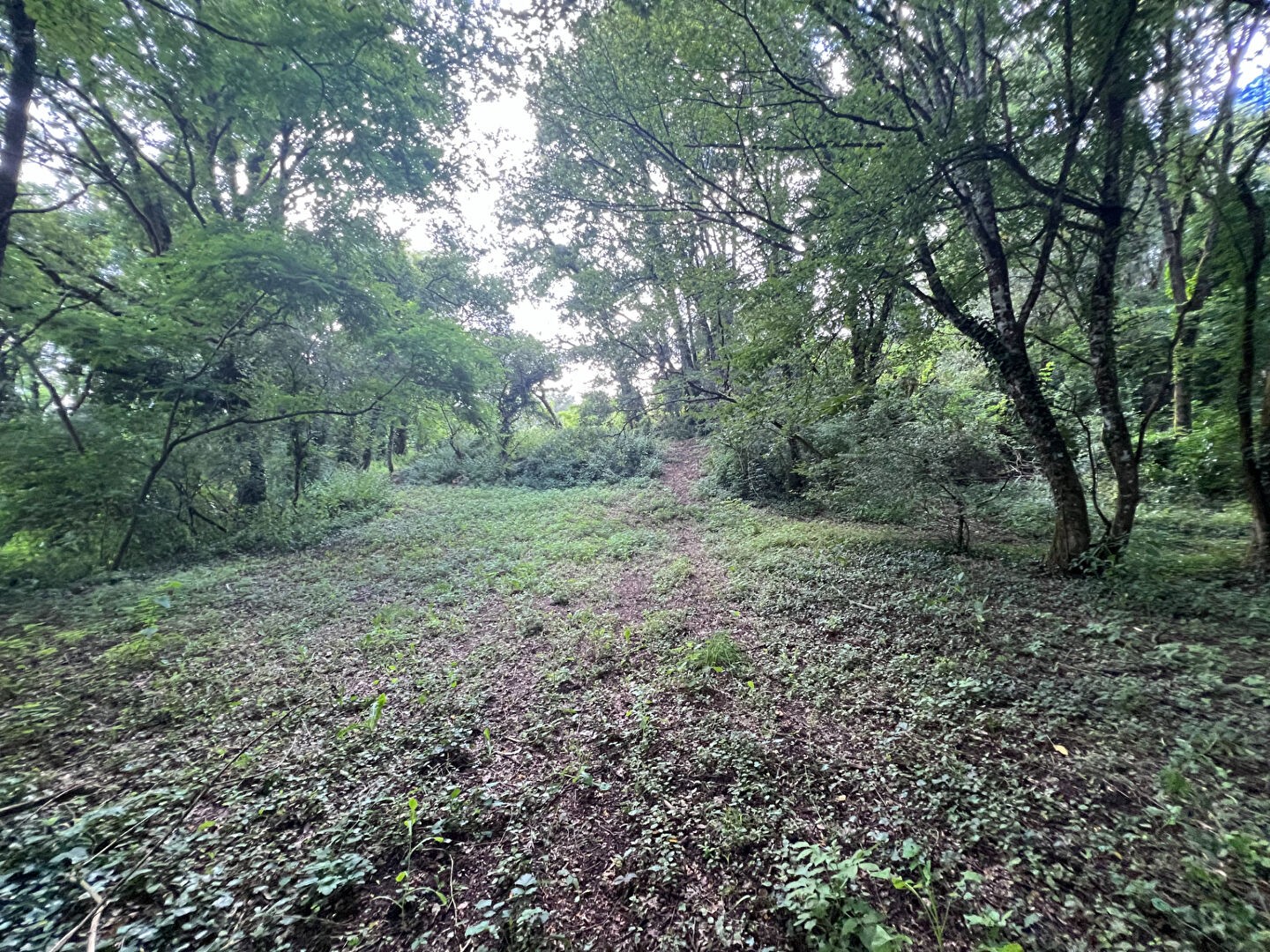 Vente Terrain à Sarlat-la-Canéda 0 pièce