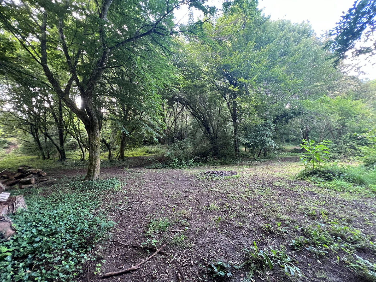 Vente Terrain à Sarlat-la-Canéda 0 pièce