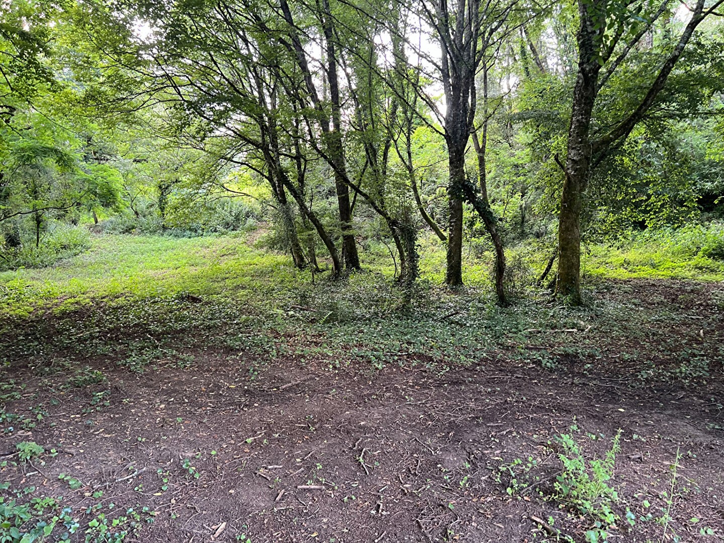 Vente Terrain à Sarlat-la-Canéda 0 pièce