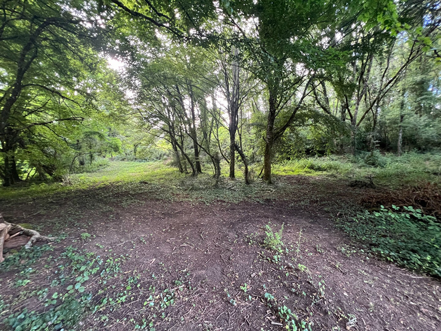 Vente Terrain à Sarlat-la-Canéda 0 pièce