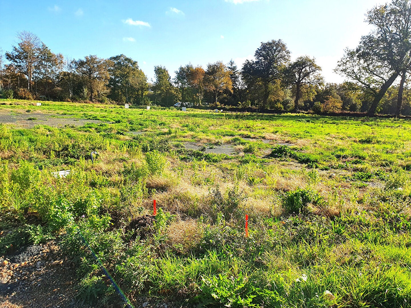 Vente Terrain à Quimper 0 pièce