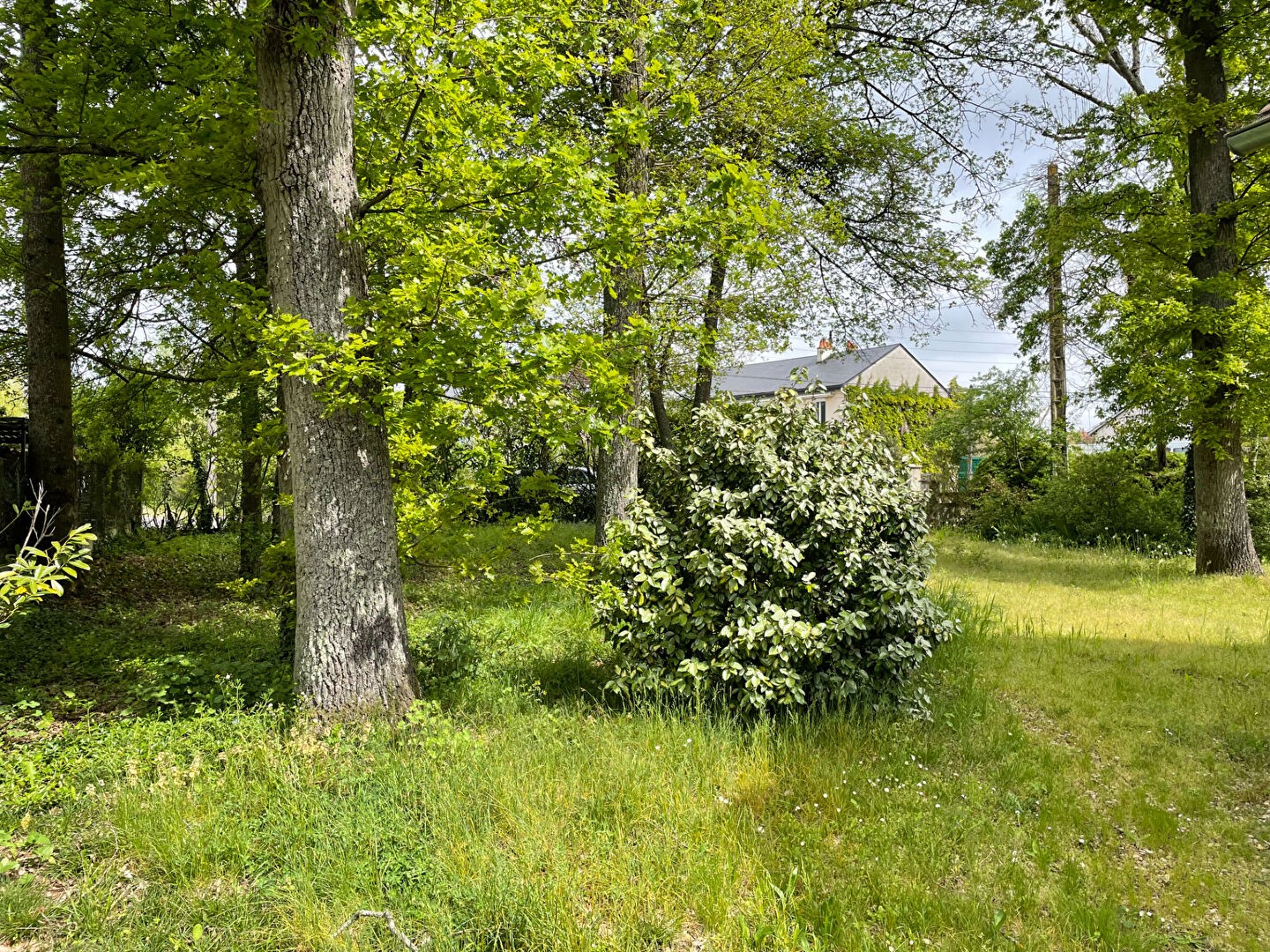 Vente Maison à Saint-Jean-de-Braye 7 pièces