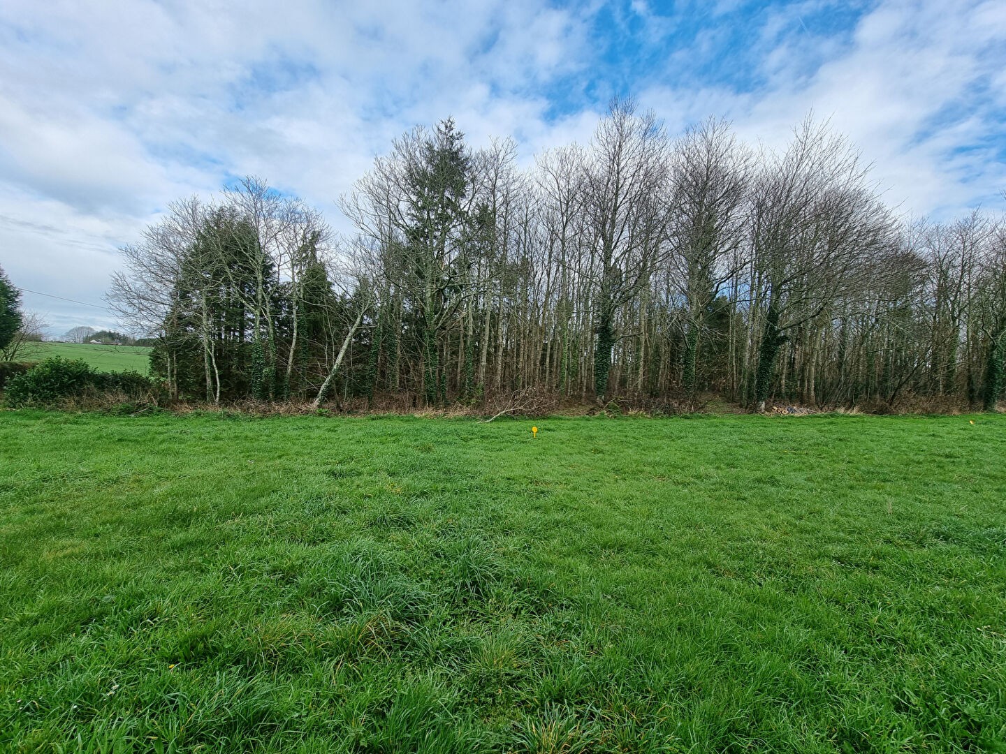 Vente Maison à Riec-sur-Belon 3 pièces