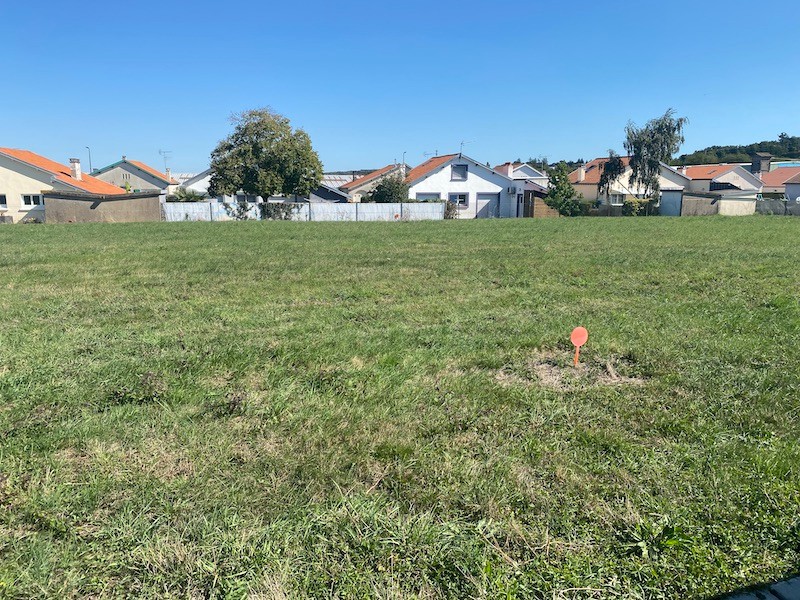 Vente Terrain à Saint-Mars-la-Jaille 0 pièce