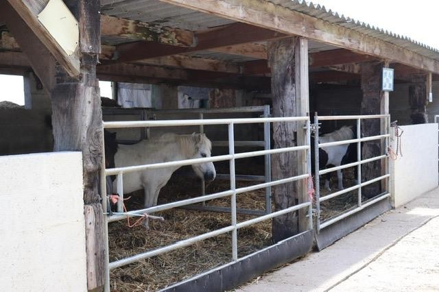 Vente Maison à les Baux-de-Breteuil 11 pièces