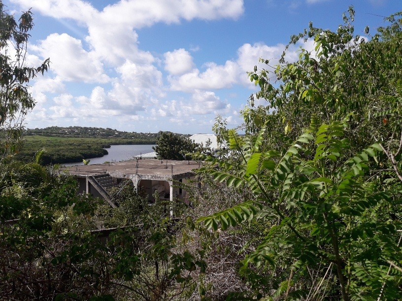 Vente Terrain à le Vauclin 0 pièce