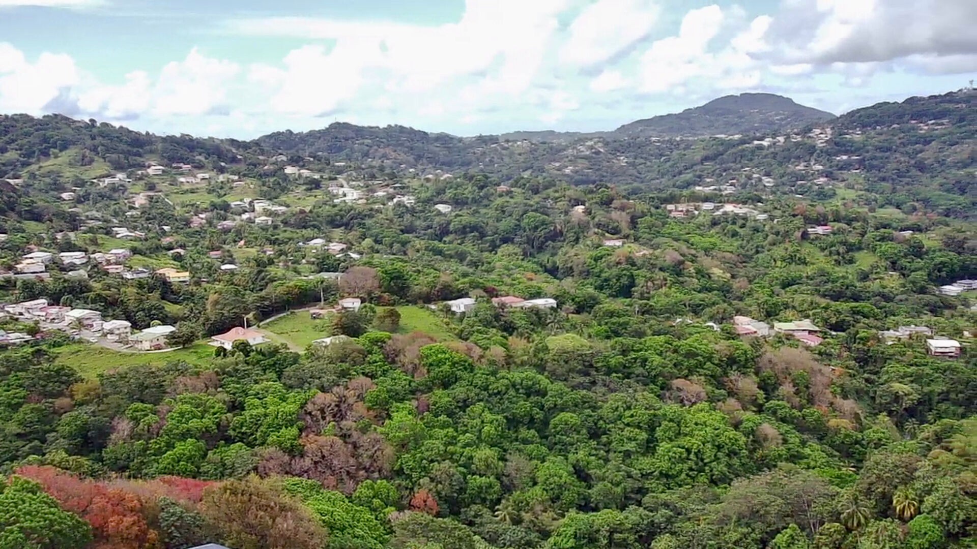 Vente Terrain à Rivière-Pilote 0 pièce